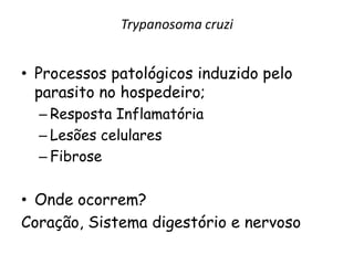 Trypanosoma cruzi
• Processos patológicos induzido pelo
parasito no hospedeiro;
– Resposta Inflamatória
– Lesões celulares
– Fibrose
• Onde ocorrem?
Coração, Sistema digestório e nervoso
 
