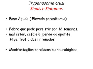Trypanosoma cruzi
Sinais e Sintomas
• Fase Aguda ( Elevada parasitemia)
• Febre que pode persistir por 12 semanas,
• mal estar, cefaleía, perda do apetite
Hipertrofia dos linfonodos
• Manifestações cardíacas ou neurológicas
 