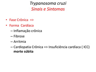 Trypanosoma cruzi
Sinais e Sintomas
• Fase Crônica =>
• Forma Cardíaca
– Inflamação crônica
– Fibrose
– Arritmia
– Cardiopatia Crônica => Insuficiência cardíaca ( ICC)
morte súbita
 