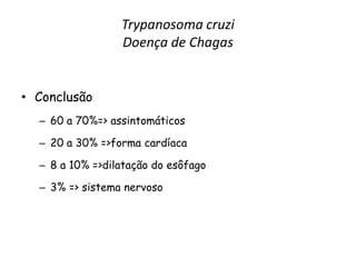 Trypanosoma cruzi
Doença de Chagas
• Conclusão
– 60 a 70%=> assintomáticos
– 20 a 30% =>forma cardíaca
– 8 a 10% =>dilatação do esôfago
– 3% => sistema nervoso
 