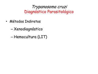 Trypanosoma cruzi
Diagnóstico Parasitológico
• Métodos Indiretos
– Xenodiagnóstico
– Hemocultura (LIT)
 