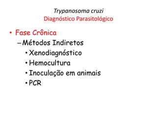 Trypanosoma cruzi
Diagnóstico Parasitológico
• Fase Crônica
–Métodos Indiretos
• Xenodiagnóstico
• Hemocultura
• Inoculação em animais
• PCR
 
