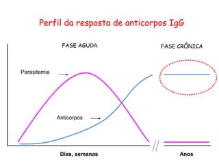 FASE AGUDA FASE CRÔNICA
Parasitemia
Anticorpos
Dias, semanas Anos
Perfil da resposta de anticorpos IgG
 