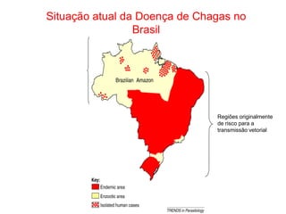 Situação atual da Doença de Chagas no
Brasil
Regiões originalmente
de risco para a
transmissão vetorial
 