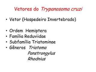 Vetores do Trypanosoma cruzi
• Vetor (Hospedeiro Invertebrado)
• Ordem Hemiptera
• Família Reduviidae
• Subfamília Triatominae
• Gêneros Triatoma
Panstrongylus
Rhodnius
 