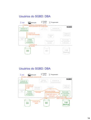 14
Usuários do SGBD: DBA
Usuários do SGBD: DBA
 