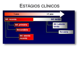 Sífilis primária
Sífilis secundária
Sífilis latente
Recente (< 1 ano)
Tardia (> 1 ano)
Sífilis terciária
ESTÁGIOS CLÍNICOS
 