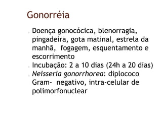 Gonorréia
Doença gonocócica, blenorragia,
pingadeira, gota matinal, estrela da
manhã, fogagem, esquentamento e
escorrimento
Incubação: 2 a 10 dias (24h a 20 dias)
Neisseria gonorrhorea: diplococo
Gram- negativo, intra-celular de
polimorfonuclear
 
