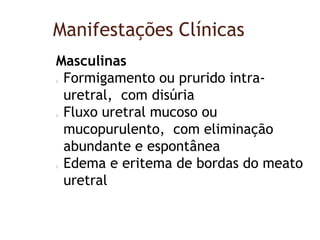 Manifestações Clínicas
Masculinas
Formigamento ou prurido intra-
uretral, com disúria
Fluxo uretral mucoso ou
mucopurulento, com eliminação
abundante e espontânea
Edema e eritema de bordas do meato
uretral
 