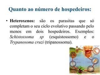 Quanto ao número de hospedeiros:
• Heteroxenos: são os parasitas que só
completam o seu ciclo evolutivo passando pelo
menos em
Schistossoma
dois hospedeiros. Exemplos:
sp (esquistossomo) e o
Trypanosoma cruzi (tripanossoma).
 