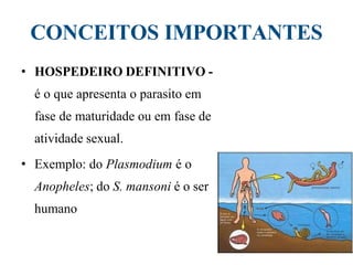 CONCEITOS IMPORTANTES
• HOSPEDEIRO DEFINITIVO -
é o que apresenta o parasito em
fase de maturidade ou em fase de
atividade sexual.
• Exemplo: do Plasmodium é o
Anopheles; do S. mansoni é o ser
humano
 