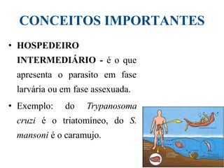 CONCEITOS IMPORTANTES
• HOSPEDEIRO
INTERMEDIÁRIO - é o que
apresenta o parasito em fase
larvária ou em fase assexuada.
• Exemplo: do Trypanosoma
cruzi é o triatomíneo, do S.
mansoni é o caramujo.
 