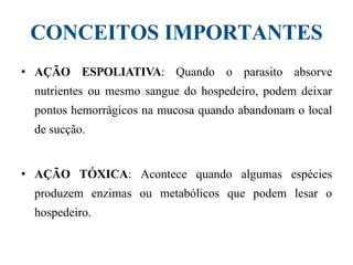CONCEITOS IMPORTANTES
• AÇÃO ESPOLIATIVA: Quando o parasito absorve
nutrientes ou mesmo sangue do hospedeiro, podem deixar
pontos hemorrágicos na mucosa quando abandonam o local
de sucção.
• AÇÃO TÓXICA: Acontece quando algumas espécies
produzem enzimas ou metabólicos que podem lesar o
hospedeiro.
 