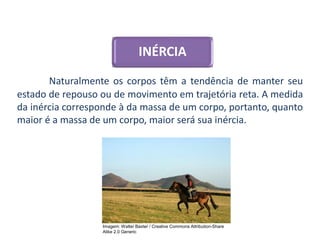 INÉRCIA
Naturalmente os corpos têm a tendência de manter seu
estado de repouso ou de movimento em trajetória reta. A medida
da inércia corresponde à da massa de um corpo, portanto, quanto
maior é a massa de um corpo, maior será sua inércia.
CIÊNCIAS, 9º Ano do Ensino Fundamental
Propriedades gerais e específicas da matéria, partindo do
conceito de matéria
Imagem: Walter Baxter / Creative Commons Attribution-Share
Alike 2.0 Generic
 