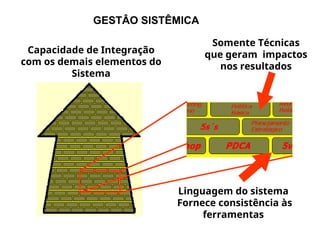 Capacidade de Integração
com os demais elementos do
Sistema
Somente Técnicas
que geram impactos
nos resultados
Linguagem do sistema
Fornece consistência às
ferramentas
GESTÂO SISTÊMICA
 