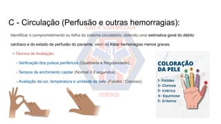 C - Circulação (Perfusão e outras hemorragias):
Identificar o comprometimento ou falha do sistema circulatório, obtendo uma estimativa geral do débito
cardíaco e do estado de perfusão do paciente, alem de tratar hemorragias menos graves.
• Técnica de Avaliação:
- Verificação dos pulsos periféricos (Qualidade e Regularidade);
- Tempos de enchimento capilar (Normal ≤ 2 segundos);
- Avaliação da cor, temperatura e umidade da pele (Palidez / Cianose);
 