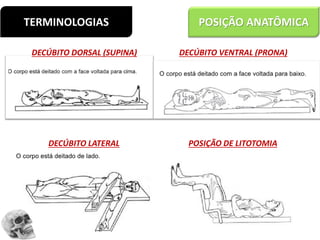 TERMINOLOGIAS POSIÇÃO ANATÔMICA
DECÚBITO DORSAL (SUPINA) DECÚBITO VENTRAL (PRONA)
DECÚBITO LATERAL POSIÇÃO DE LITOTOMIA
 