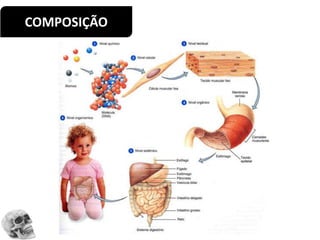 COMPOSIÇÃO
 