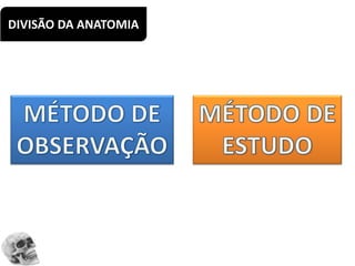 DIVISÃO DA ANATOMIA
 