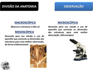 DIVISÃO DA ANATOMIA
MACROSCÓPICA
Observa a estrutura a olho nú
MICROSCÓPICA
Necessita para seu estudo o uso de
aparelho que aumente as dimensões
das estruturas para uma melhor
observação. (Microscópio)
MESOSCÓPICA
Necessita para seu estudo o uso de
aparelho que aumente as dimensões das
estruturas para uma melhor observação,
da forma tridimensional.
OBSERVAÇÃO
 