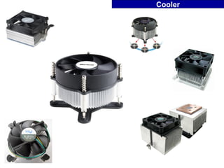 Cooler
 