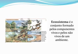 aula 01 - componentes dos ecossistemas.pptx