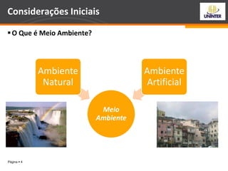 Página  4
O Que é Meio Ambiente?
Considerações Iniciais
Meio
Ambiente
Ambiente
Natural
Ambiente
Artificial
 