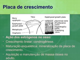 Placa de crescimento




•   Ação dos estrógenos no osso:
•   Crescimento linear: condrogênese.
•   Maturação esquelética: mineralização da placa de
    crescimento.
•   Aquisição e manutenção de massa óssea no
    adulto.
 
