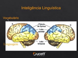 Inteligência Linguística
Linguagem
Vocabulário
 