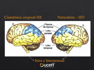 Naturalista – HD
Cinestésica corporal HE
Intra e Interpessoal
 