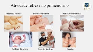 Atividade reflexa no primeiro ano
Preensão Palmar Preensão Plantar Reflexo de Babinski
Reflexo de Moro Marcha Reflexa Sucção
 