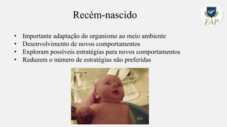 Recém-nascido
• Importante adaptação do organismo ao meio ambiente
• Desenvolvimento de novos comportamentos
• Exploram possíveis estratégias para novos comportamentos
• Reduzem o número de estratégias não preferidas
 