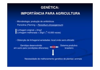 GENÉTICA:
IMPORTÂNCIA PARA AGRICULTURA
- Microbiologia: produção de antibióticos
Penicilina (Fleming – Penicillium chrysogennum)
Linhagem original = 2mg/l
Linhagem melhorada = 20g/l ( 10.000 vezes)
- Obtenção de linhagens/variedades: local onde será utilizado
Genótipo desenvolvido
em outro país (condições diferentes)
Sistema produtivo
brasileiro
Necessidade de melhoramento genético de plantas/ animais
 