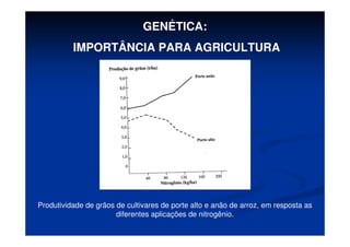 GENÉTICA:
IMPORTÂNCIA PARA AGRICULTURA
Produtividade de grãos de cultivares de porte alto e anão de arroz, em resposta as
diferentes aplicações de nitrogênio.
 