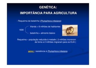 GENÉTICA:
IMPORTÂNCIA PARA AGRICULTURA
- Requeima da batatinha (Phytophtora infestans):
1830
Irlanda = 8 milhões de habitantes
batatinha = alimento básico
Requeima – população reduzida à metade ( 2 milhões morreram
de fome e 2 milhões migraram para os EUA )
gene r resistência à Phytophtora infestans
 