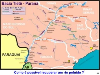 Como é possível recuperar um rio poluído ?   44
 