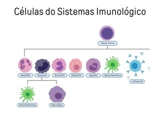 Células do Sistemas Imunológico
 