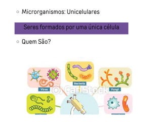 Microrganismos: Unicelulares
Quem São?
Seres formados por uma única célula
 