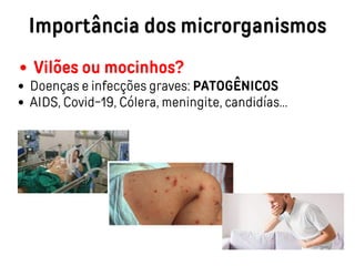 Importância dos microrganismos
Vilões ou mocinhos?
Doenças e infecções graves: PATOGÊNICOS
AIDS, Covid-19, Cólera, meningite, candidías...
 