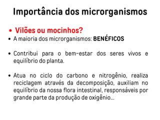 Importância dos microrganismos
Vilões ou mocinhos?
A maioria dos microrganismos: BENÉFICOS
Contribui para o bem-estar dos seres vivos e
equilíbrio do planta.
Atua no ciclo do carbono e nitrogênio, realiza
reciclagem através da decomposição, auxiliam no
equilíbrio da nossa flora intestinal, responsáveis por
grande parte da produção de oxigênio...
 