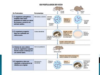 Aula 01   Introdução a Microbiologia