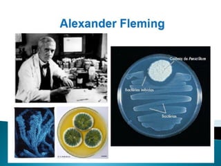 Aula 01   Introdução a Microbiologia