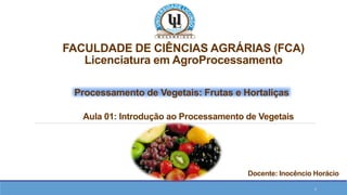 FACULDADE DE CIÊNCIAS AGRÁRIAS (FCA)
Licenciatura em AgroProcessamento
1
Processamento de Vegetais: Frutas e Hortaliças
Aula 01: Introdução ao Processamento de Vegetais
Docente: Inocêncio Horácio
 