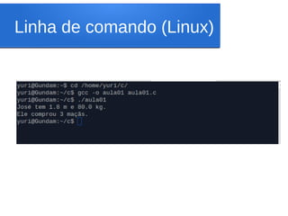 Linha de comando (Linux)
 