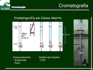 Cromatografia em Coluna Aberta
Algodão
Disco de
papel
filtro
Empacotamento:
- Suspensão
- Seco
Análise das frações:
- CCD
15 – 30 cm
60–200 µm
Cromatografia
 
