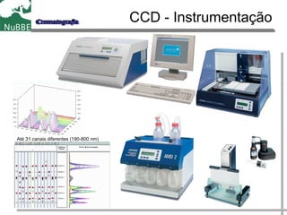 CCD - Instrumentação
Até 31 canais diferentes (190-800 nm)
 
