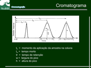Cromatograma
t0 = momento da aplicação da amostra na coluna
tm = tempo morto
tr = tempo de retenção
w = largura do pico
h = altura do pico
 