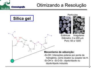 Sílica gel
Si O
OH
O
O H
Si
O
CH 3
Si O
CH 3
C H 3
Si
O
OH
C H 3
Si
O H
CH 3
CH 3
O H
SiH 3
O
H
H
O
H
H
Otimizando a Resolução
Mecanismo de adsorção:
-Si-OH: Interações polares por ponte de
hidrogênio, como doador ou aceptor de H.
-Si-OH e –Si-O-Si-: dipolo/dipolo ou
dipolo/dipolo induzido
Esféricas Irregulares
Diâmetro: 3 a 200 µm
Poro: 60 a 120Å
Partículas
 