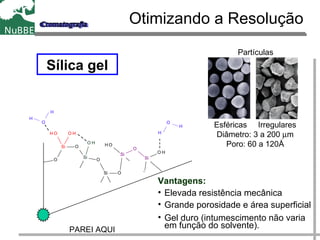 Sílica gel
Si O
OH
O
O H
Si
O
CH 3
Si O
CH 3
C H 3
Si
O
OH
C H 3
Si
O H
CH 3
CH 3
O H
SiH 3
O
H
H
O
H
H
Otimizando a Resolução
Vantagens:
• Elevada resistência mecânica
• Grande porosidade e área superficial
• Gel duro (intumescimento não varia
em função do solvente).
Esféricas Irregulares
Diâmetro: 3 a 200 µm
Poro: 60 a 120Å
Partículas
PAREI AQUI
 