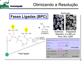 Otimizando a Resolução
Esféricas Irregulares
Diâmetro: 3 a 200 µm
Poro: 60 a 120Å
Partículas
Fases Ligadas (BPC)
Si O
OH
O
O
Si
O
CH 3
Si O
CH 3
C H 3
Si
O
O
C H 3
Si
O H
CH 3
CH 3
O H
SiH 3
Si
R
CH3H3C
Si
R
CH3H3C
SILANOL
RESIDUAL
Si O Si
Si O Si
Si O Si
Si O Si
Si O Si N
Si O Si NH2
Si O Si
OH
OH
ODS, RP-18, C-18
RP-8, C-8
Fenil
CN, Cianopropil
NH2,Propilamino
TMS, C-1
Diol
APOLARES
POLARES
Si CH3
CH3
Cl CH3
+
Cloreto de
trimetilsilano
Fase ligada
 
